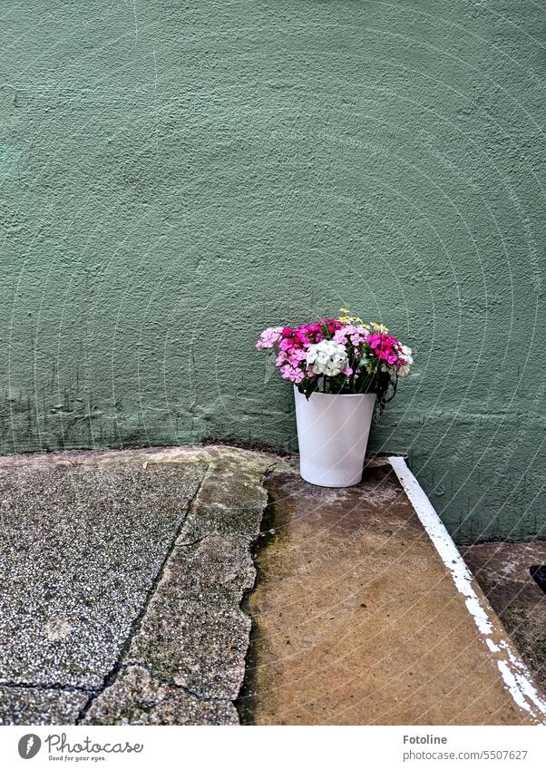 A vase with colorful flowers stands on a landing. The wall of the house in the background is painted green. Vase Vase with flowers Bouquet cut flower Stage