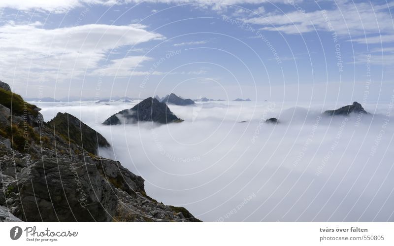 above the clouds Landscape Air Sky Clouds Summer Beautiful weather Alps Mountain Crow Contentment Relaxation Horizon Life Ease Nature Vacation & Travel Moody