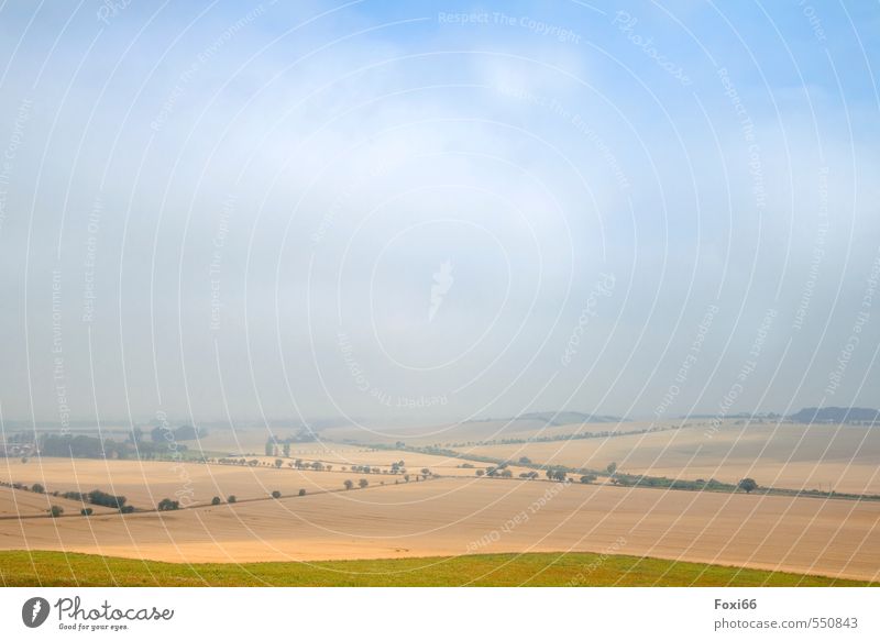 early morning mist Landscape Sky Clouds Autumn Beautiful weather Fog Bushes Tree Field Hill Hiking Infinity Cold Natural Blue Yellow Green Attentive Calm