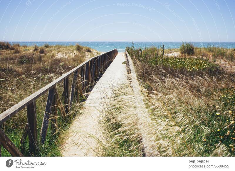 long wooden walkway in Andalusia Spain leading to dream beach Footbridge Water Landscape Idyll Calm Nature Ocean seascape Seashore Andalucia Gorgeous