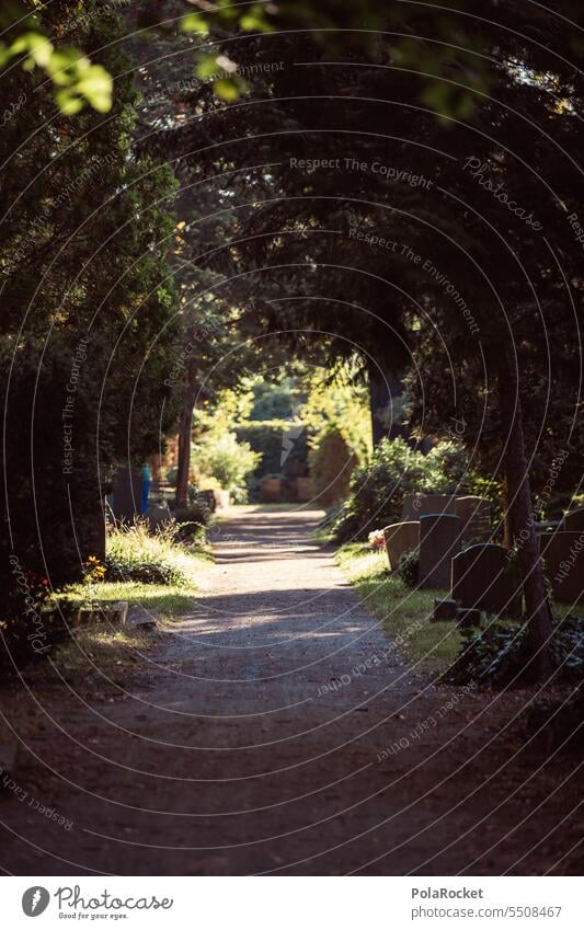 #A0# Quiet Rest tranquillity Stationary Cemetery cemetery planting Cemetery grounds Death Grief Calm Grave Tombstone Transience Sadness Peace Funeral