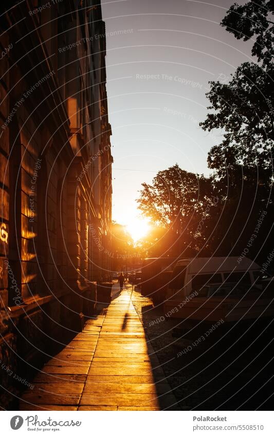 #A0# Dresden-Neustadt dresden-neustadt Sunrise Town Architecture Sky Building Downtown Old town House (Residential Structure) Exterior shot Lure of the big city