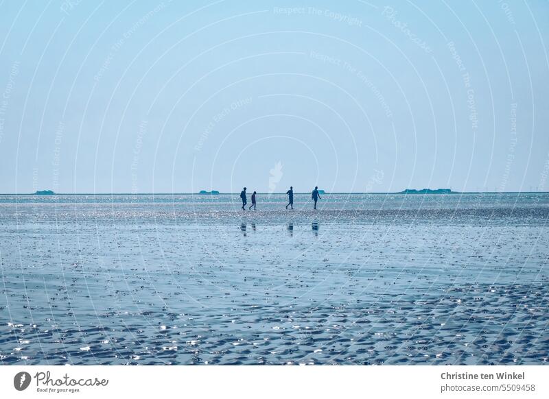 mudflat walk watt Mud flats silhouettes people mudflat hiking tour North Sea Water Bottom of the sea Tidal flat Sky Back-light Nature Low tide coast Ocean Beach