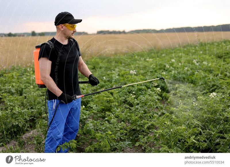 Agronomist in protective glasses and gloves with mist sprayer treats blooming potato plantation from pests, colorado beetle and fungus infection. Harvest processing. Protection and care agriculture