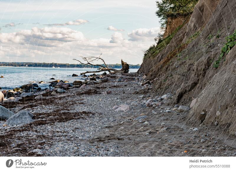 Natural beach on the cliff Beach natural beach steep coast Baltic beach Baltic coast Baltic Sea Stone Ocean Vacation & Travel Nature Exterior shot Colour photo