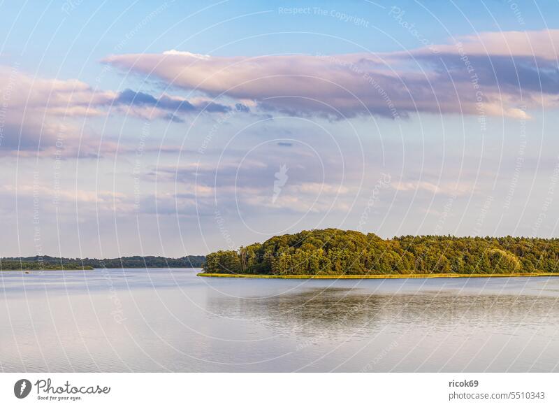 View with lake and trees in Seedorf am Schaalsee Lake seedorf Schleswig-Holstein bank Landscape Nature Summer Water Tree Forest Sky Clouds Blue Green Idyll