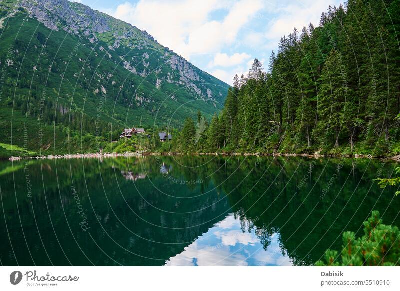 Spruce forest near blue lake in mountains. Nature landscape morskie oko sea eye national park tatra nature green zakopane outdoors day horizontal poland