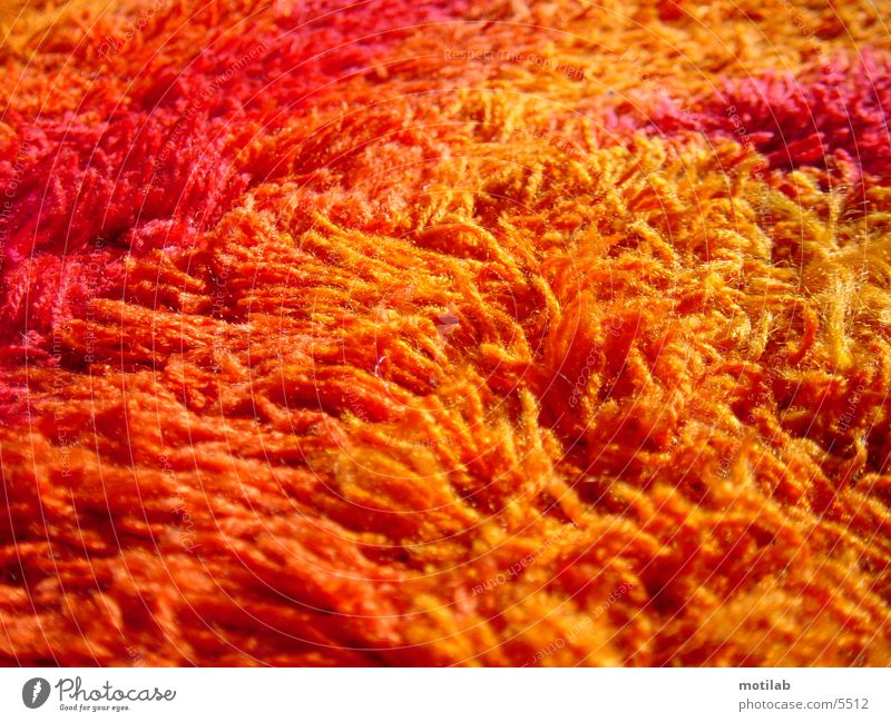 70s carpet Carpet Seventies Fluff Photographic technology Floor covering