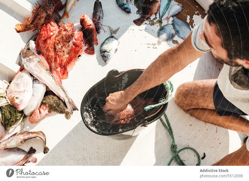 Crop man with uncooked fish water bucket fishing sunlight fresh aqua collect natural male soller balearic island mallorca hispanic ethnic shadow nature food