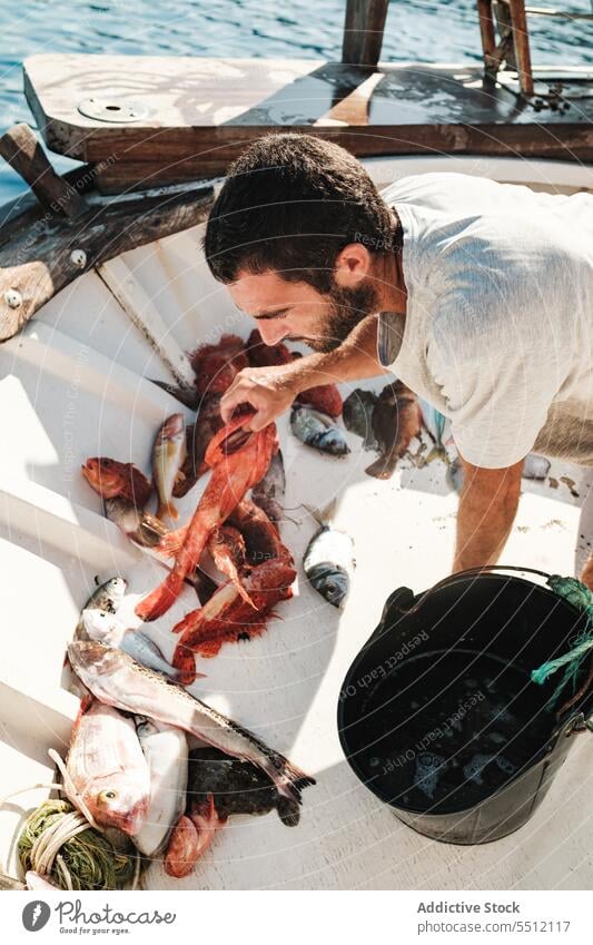 Crop man with uncooked fish water bucket fishing sunlight fresh aqua collect natural male soller balearic island mallorca hispanic ethnic shadow nature food