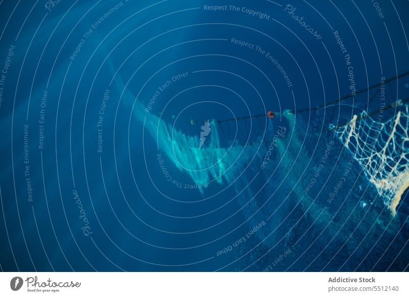 Net floating underwater during traditional fishing net marine sea catch deep ocean soller mallorca balearic island nautical aqua nature equipment seascape