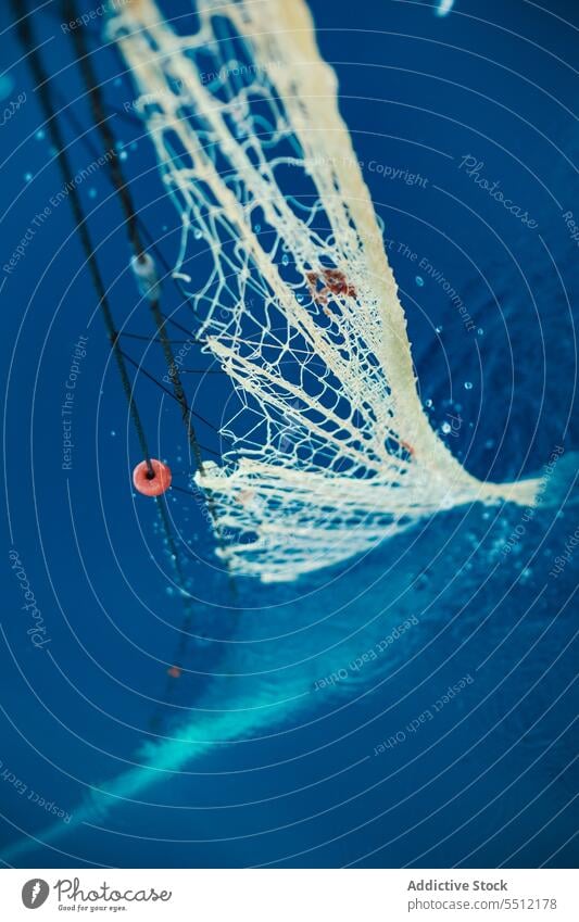 Net floating underwater during traditional fishing net marine sea catch deep ocean soller mallorca balearic island nautical aqua nature equipment seascape