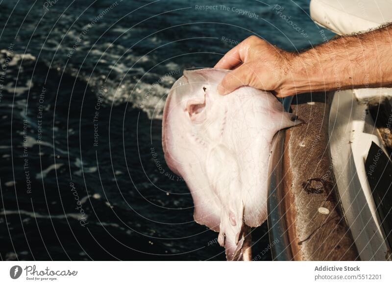 Crop man with fish in sea water float edge boat nature vessel fishing male spain soller mallorca ripple marine transport environment aqua natural ocean hand