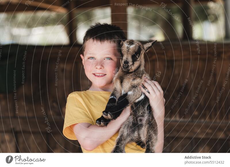 Happy boy hugging young American Pygmy in zoo american pygmy goat smile happy portrait visit child cute capra aegagrus hircus kid summer casual adorable