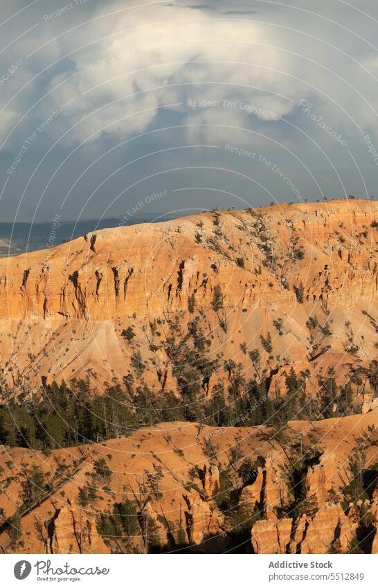 Grand Canyon under cloudy sky canyon formation nature landscape rocky geology rough massive scenic majestic picturesque grand canyon scenery trees spectacular