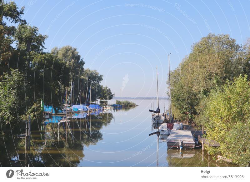 morning late summer idyll Lake Dümmer See Water boats sailboats Morning in the morning Idyll Tree shrub reflection Sky tranquillity silent Calm morning mood