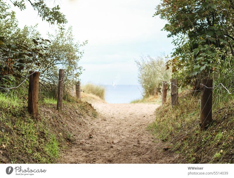 Just this one more dune, then we are on the beach Vantage point Ocean coast Beach Lake Baltic Sea boat yacht ship Horizon duene Hill off Nature reserve