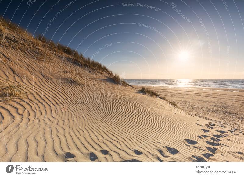 beautiful golden beach at sunset coast sand wave texture pattern path dune seascape seashore horizon sundown sky clear blue background view scenic scenery