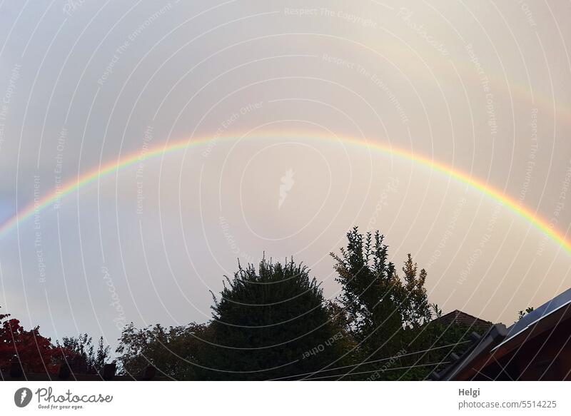 rainbow Rainbow Sky variegated Weather Light Shadow Tree Roof Exterior shot Deserted Colour photo Landscape Sunlight Contrast Light (Natural Phenomenon) Nature