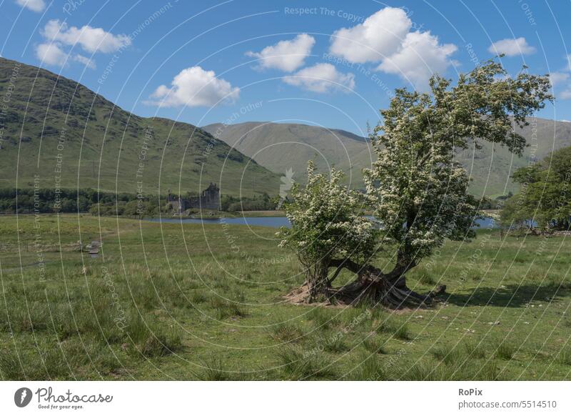 Kilchum castle in the western highlands. Lock Stairs Park door shrubby Scotland scotland Nature Culture Manmade landscape lake Lake Fortress Building