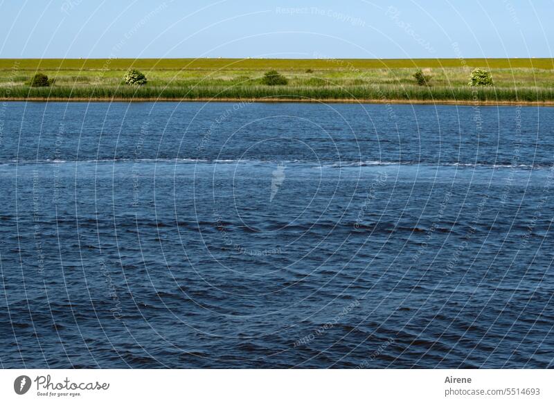 region Loneliness Horizon Bay North Sea coast Ocean wide Nature reserve straight lines Lines & Shapes Lonely Sky Lower Saxony Tuft of grass East Frisland