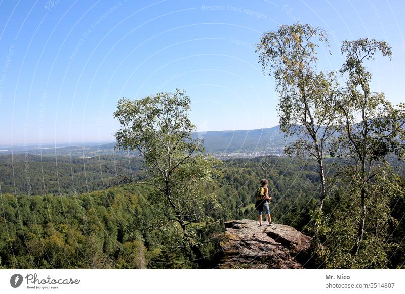 View of the Murg Valley Baden-Wuerttemberg Landscape Forest Rock Hiking Hill Vacation & Travel Panorama (View) Mountain Nature Far-off places Trip Sky Freedom