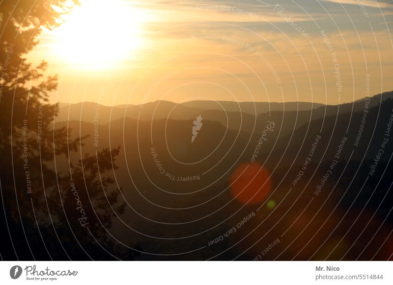 Sunset , Palatinate Forest Romance Sunlight idyllically naturally Sunrise Landscape Idyll Hill Environment Rural Mountain Nature well-being Peak