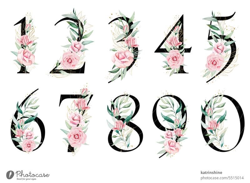 Black numbers with pink watercolor flowers and green and golden leaves, isolated illustration. Birthday Botanical Decoration Drawing Element Foliage Garden