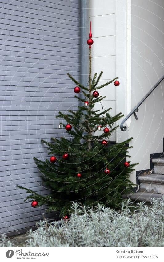 christmas tree in the corner of the house Christmas tree fir tree Top of the tree christmas ornaments House (Residential Structure) house corner Entrance