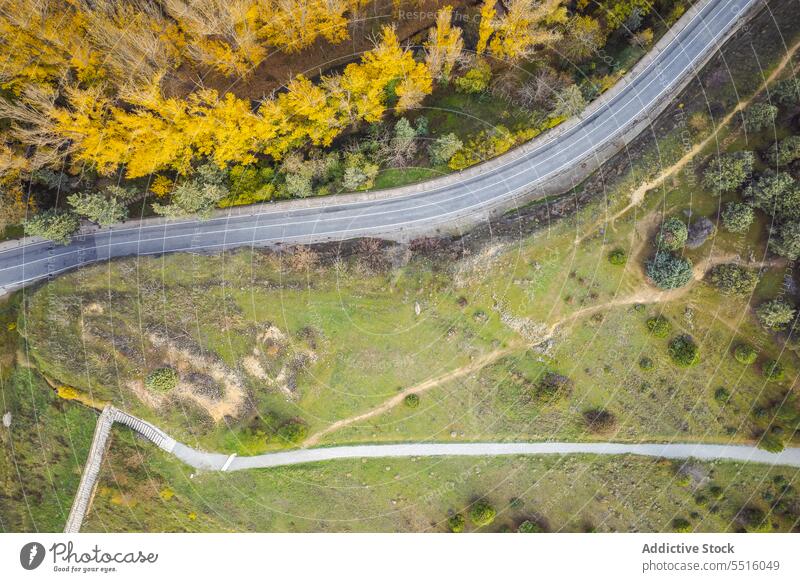 Roads and trees in city outskirts road autumn countryside asphalt lush travel scenic segovia avila spain nature route fall woodland roadway season transport