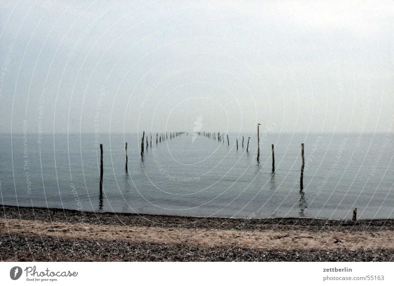 Day at the sea Ocean Horizon Beach Infinity Loneliness Fish trap Calm Gray Far-off places seagull Slate blue Blue