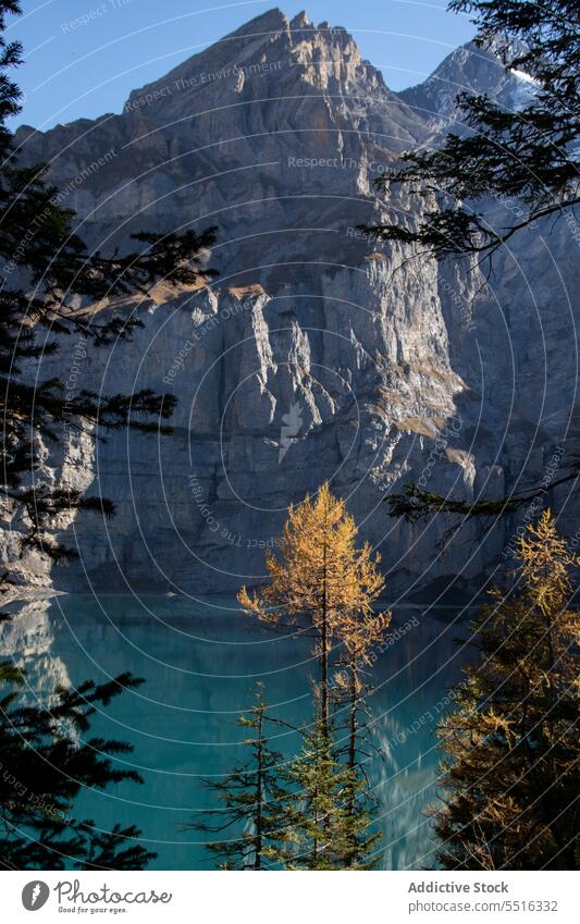 Calm lake with rocky formation mountain Switzerland nature ridge kandersteg landscape highland range picturesque slope coniferous dolomite majestic tree