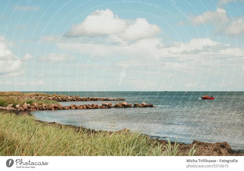 Coastal landscape on the Baltic Sea Baltic beach coast Beach Denmark Langeland Tranekær Landscape Nature Water Ocean Waves Sand Sky Clouds Weather