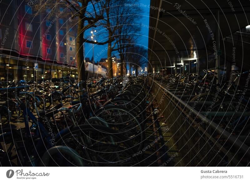 Bicycle parking in the city of Amsterdam. Parking lot Parking space bicycle parking Bicycle rack Means of transport Exterior shot Transport Mobility