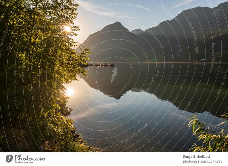 Summer at the lake Lake Ground sea boats Sunrise reflection Austria Water Reflection Nature Landscape Exterior shot Sky Calm Lakeside Deserted Mountain Idyll