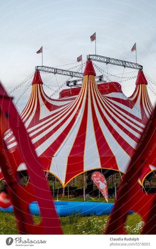 View through fence to red and white striped circus tent with fairy lights and flagpoles Circus Circus tent Circus background Circus tents Stripe Tent Shows