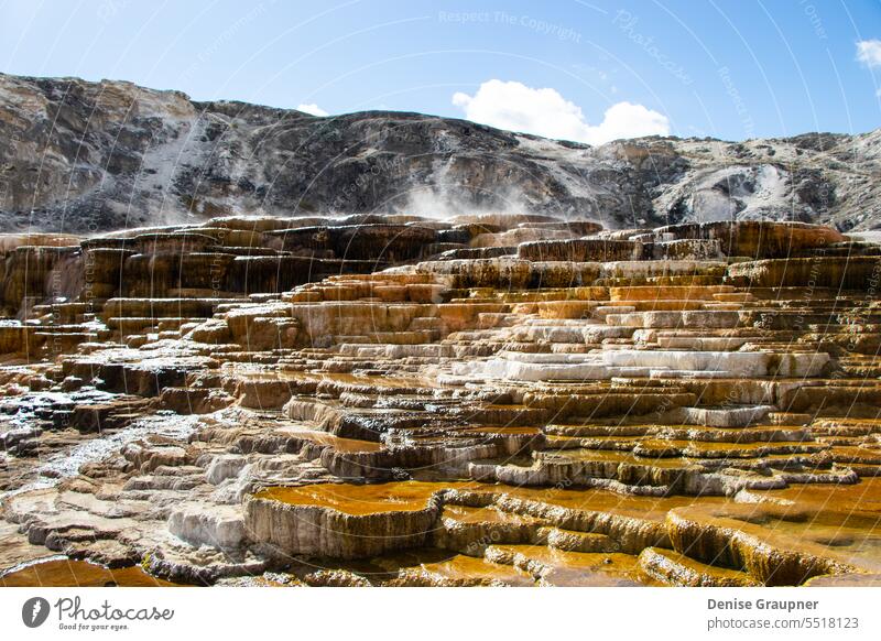 Mammoth Hot Springs in Yellowstone National Park USA nature landscape spring mammoth yellowstone national park travel geology landmark scenic rock steam wyoming