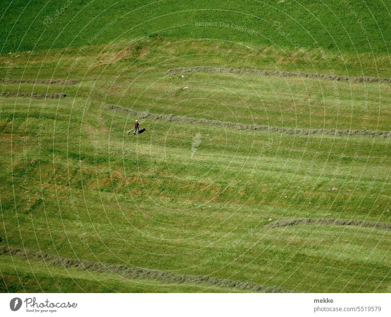 The mountain farmer feeds with difficulty (and the photocaseler, #400) work tedious a lot Slowly make headway Work and employment Field Meadow Endurance