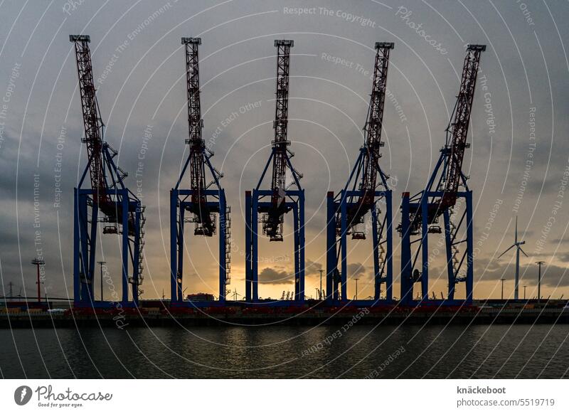 Port of Hamburg Cranes Hamburg Port Harbour Container terminal Navigation Transport Exterior shot Dockside crane Container cargo Industry Economy Logistics