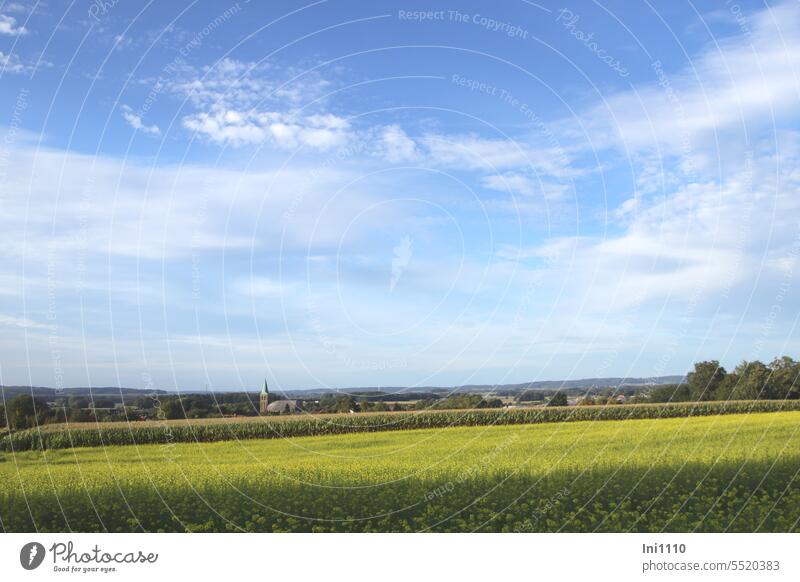 Rural idyll Landscape sunshine Autumn Agriculture View into the distance rural surrounding Idyll Contemplative Peaceful Village Church Church spire fields