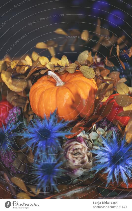 It's autumn - flower decoration with pumpkin Autumn Decoration Floristry Pumpkin Hallowe'en Orange October Thanksgiving Vegetable seasonal Harvest Close-up