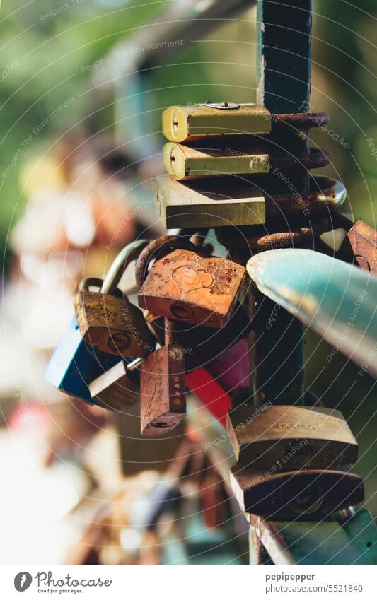 Love locks on a bridge Love padlock Padlock Lock Romance Loyalty Together Infatuation Emotions Relationship Display of affection Declaration of love Happy