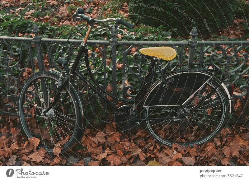 Bicycle connected to a cast iron railing Parking your bike Means of transport switch off Mobility Wheel Transport Eco-friendly Leisure and hobbies