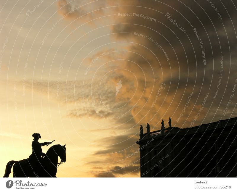 On Her Majesty's behalf, On Her Majesty's Secret Service. Vienna Austria King Majestic Dramatic Clouds Yellow Horse Statue Sky Attack Animal Monument