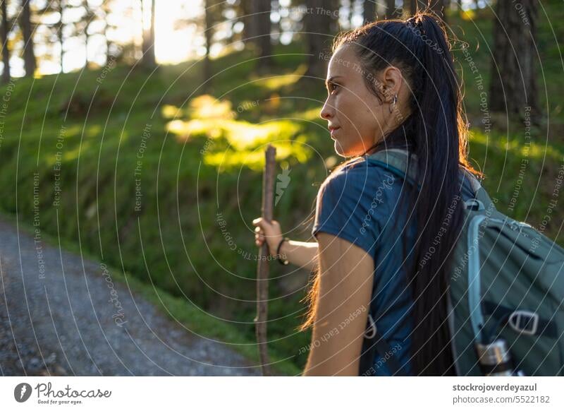 A young woman hiker with a wooden stick as a walking stick enjoys nature during a walk person female portrait beauty adult lifestyle pretty forest one