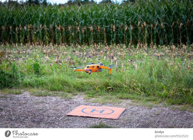 Drone with thermal imaging camera taking off over a cornfield before harvest to detect animals that are in it drone Game monitoring cherish Starting point