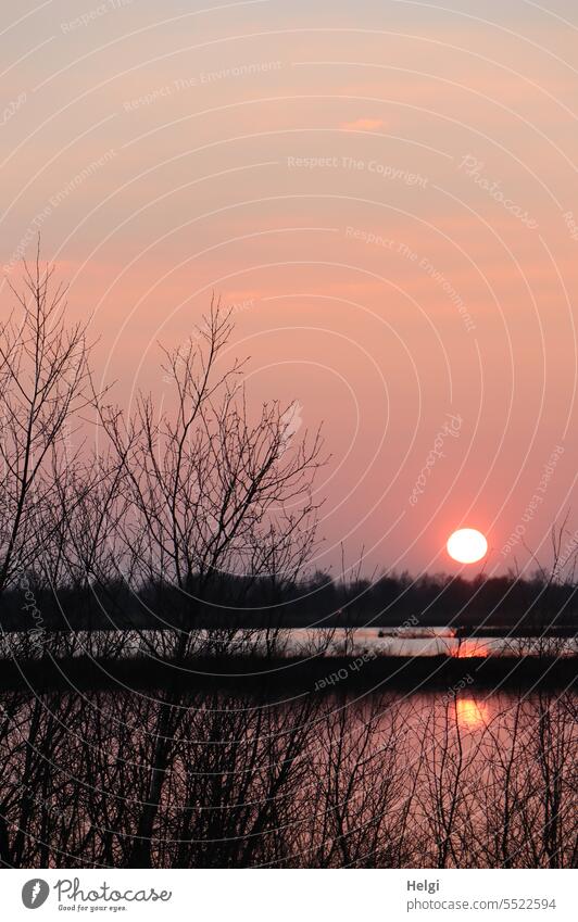 Sunset in the moor Evening sun Bog moorland Moor lake Tree shrub Light Shadow Sunlight Sky reflection afterglows Moody evening mood early spring Nature