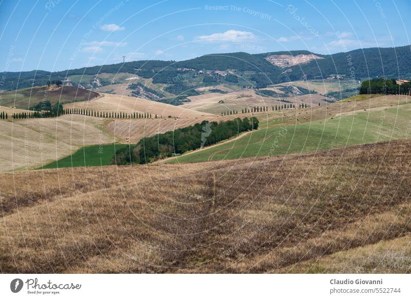 Country landscape near Volterra, Tuscany Europe Italy June Pisa agriculture bale color country day farm field hill nature olive photography rural summer travel