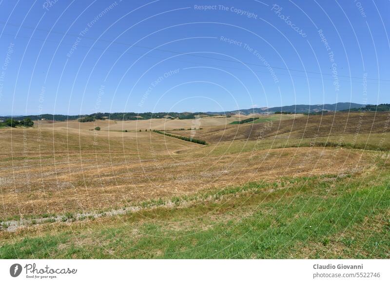 Country landscape near Volterra, Tuscany Europe Italy June Pisa agriculture bale color country day farm field hill nature olive photography rural summer travel