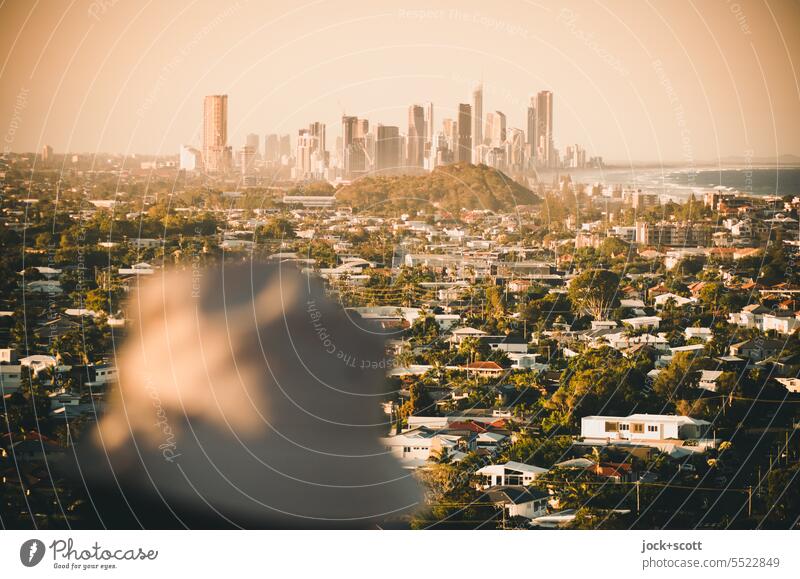 Evening atmosphere over Gold Coast with view Surfers Paradise Dusk evening mood Warmth Australia Romance Silhouette Queensland Panorama (View) Skyline coast